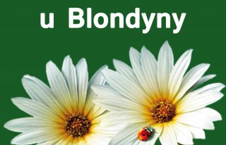 Kwiaciarnia u Blondyny Mysłowice