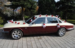 AUTO DO SLUBU - JAGUAR KLASYK - DO 200km OD RADOMIA - 400zł Radom