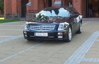 Samochód do ślubu - Cadillac STS 4.6 V8 Siedlce, Łuków, Garwolin Siedlce