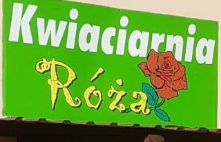 Kwiaciarnia " Róża" Rzepin