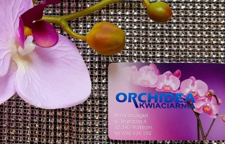 Kwiaciarnia Orchidea Wolbrom