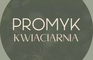 Kwiaciarnia Promyk Justyna Majewska Mława