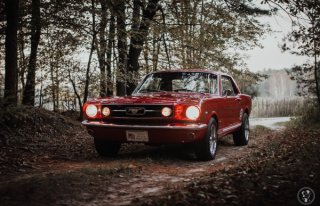 Ford Mustang z 1966 roku na wesele. Klasyk do ślubu  Rzeszów 