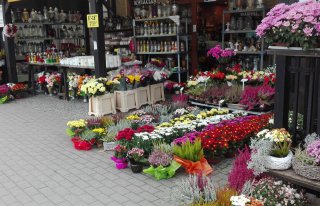 Kwiaciarnia " MAGDA " Kościerzyna