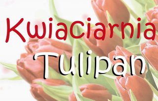 Kwiaciarnia Tulipan Tarnów Tarnów