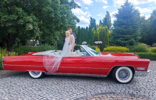 Mustang Kabrio Cadillac Rolls Bentley Białystok