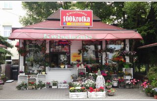 Kwiaciarnia 100krotka Gliwice