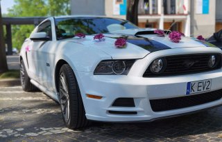 Ford Mustang GT do ślubu, biały | terminy 2022 Inowrocław