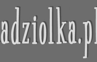 Marcin Kądziołka - Fotografia ślubna Kraków