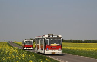 Zabytkowe autobusy do ślubu i nie tylko Wrocław