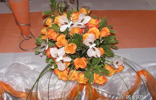 Zielona Wyspa Wadowice