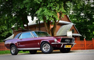 Mustang 1967 do ślubu Krosno