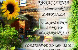 Kwiaciarnia"Słonecznik" Siemianowice-Bańgów Siemianowice Śląskie