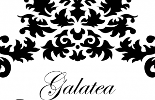 Centrum Odnowy Galatea Gliwice