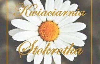 Kwiaciarnia Stokrotka Doroty Sendal Oława