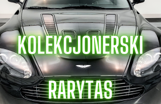  Kolekcjonerskie Aston Martin Maserati Ford Mustang oraz Tesla Y   Mysłowice